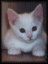Benutzeravatar